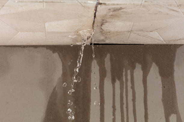 Professional Water Damage Inspection technician working in Kenedy, TX